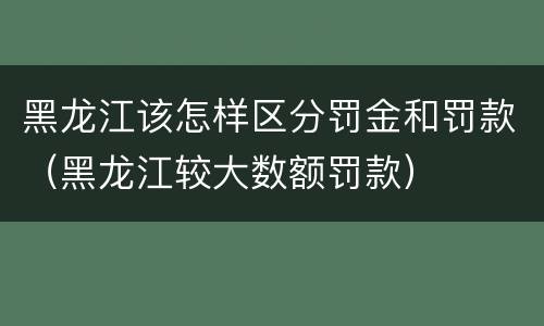 黑龙江该怎样区分罚金和罚款（黑龙江较大数额罚款）