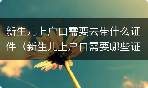 新生儿上户口需要去带什么证件（新生儿上户口需要哪些证件齐全）