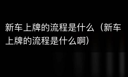 新车上牌的流程是什么（新车上牌的流程是什么啊）