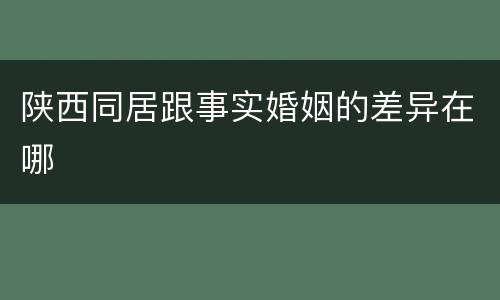 陕西同居跟事实婚姻的差异在哪