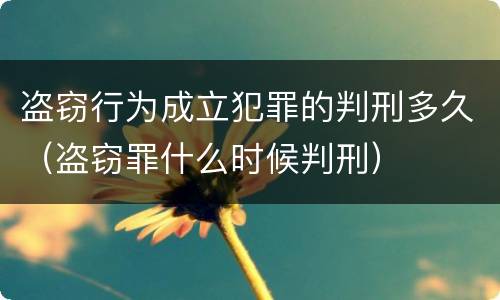 盗窃行为成立犯罪的判刑多久（盗窃罪什么时候判刑）