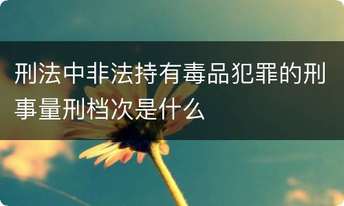 刑法中非法持有毒品犯罪的刑事量刑档次是什么