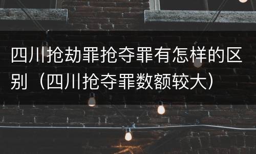 四川抢劫罪抢夺罪有怎样的区别（四川抢夺罪数额较大）