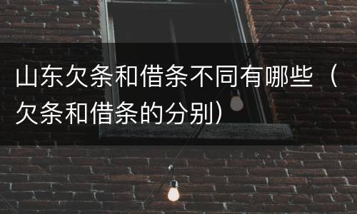 山东欠条和借条不同有哪些（欠条和借条的分别）