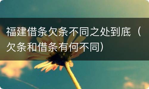 福建借条欠条不同之处到底（欠条和借条有何不同）