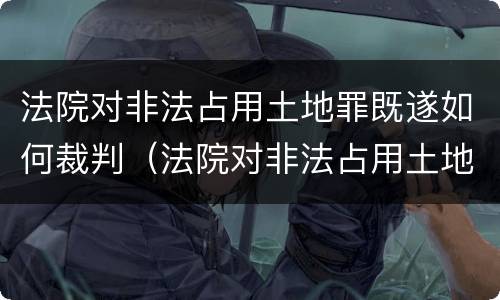 法院对非法占用土地罪既遂如何裁判（法院对非法占用土地罪既遂如何裁判执行）