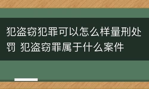 犯盗窃犯罪可以怎么样量刑处罚 犯盗窃罪属于什么案件
