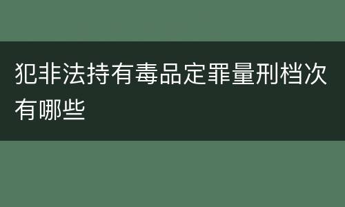 犯非法持有毒品定罪量刑档次有哪些