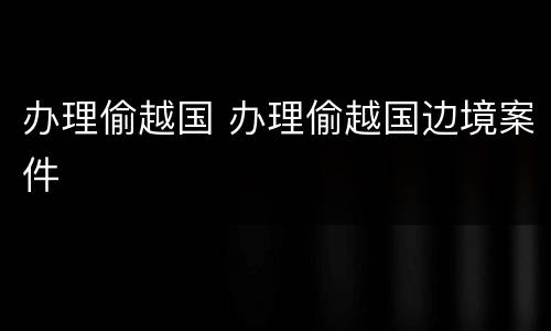 办理偷越国 办理偷越国边境案件