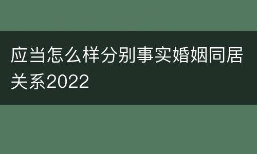 应当怎么样分别事实婚姻同居关系2022
