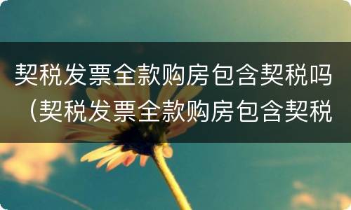 契税发票全款购房包含契税吗（契税发票全款购房包含契税吗）