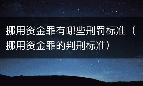 挪用资金罪有哪些刑罚标准（挪用资金罪的判刑标准）