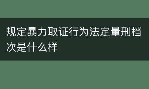 规定暴力取证行为法定量刑档次是什么样