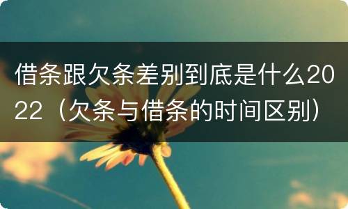 借条跟欠条差别到底是什么2022（欠条与借条的时间区别）