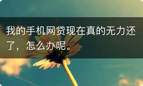 我的手机网贷现在真的无力还了，怎么办呢。