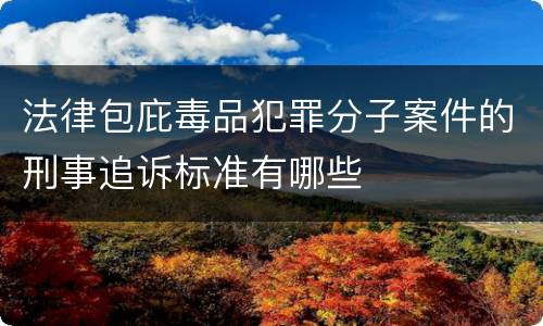 法律包庇毒品犯罪分子案件的刑事追诉标准有哪些