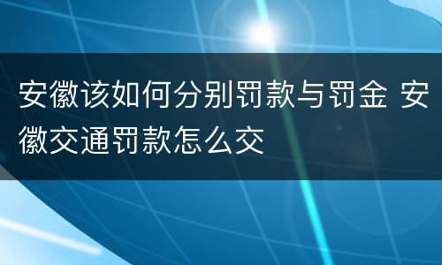 安徽该如何分别罚款与罚金 安徽交通罚款怎么交