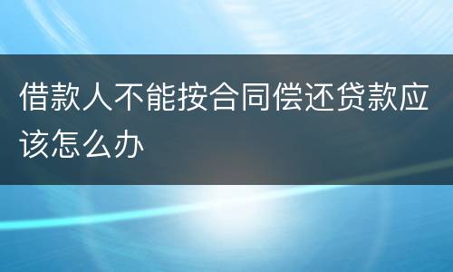 借款人不能按合同偿还贷款应该怎么办