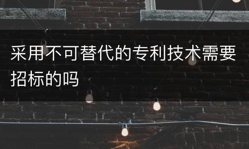采用不可替代的专利技术需要招标的吗