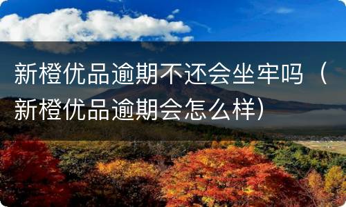 新橙优品逾期不还会坐牢吗（新橙优品逾期会怎么样）
