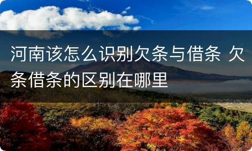 河南该怎么识别欠条与借条 欠条借条的区别在哪里