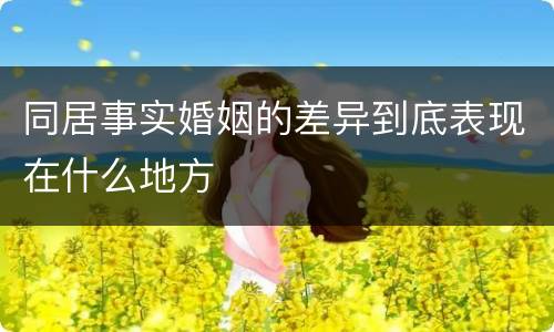 同居事实婚姻的差异到底表现在什么地方