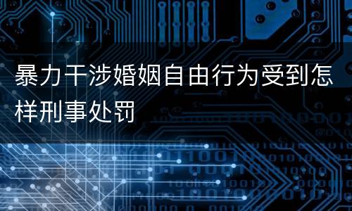 暴力干涉婚姻自由行为受到怎样刑事处罚