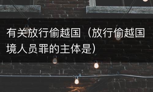 有关放行偷越国（放行偷越国境人员罪的主体是）
