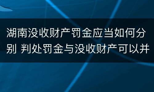 湖南没收财产罚金应当如何分别 判处罚金与没收财产可以并罚吗