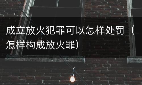 成立放火犯罪可以怎样处罚（怎样构成放火罪）