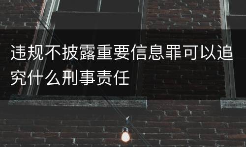违规不披露重要信息罪可以追究什么刑事责任