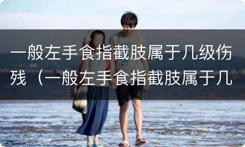 一般左手食指截肢属于几级伤残（一般左手食指截肢属于几级伤残啊）