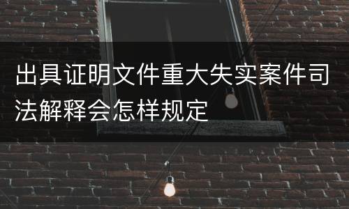 出具证明文件重大失实案件司法解释会怎样规定