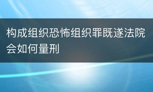 构成组织恐怖组织罪既遂法院会如何量刑