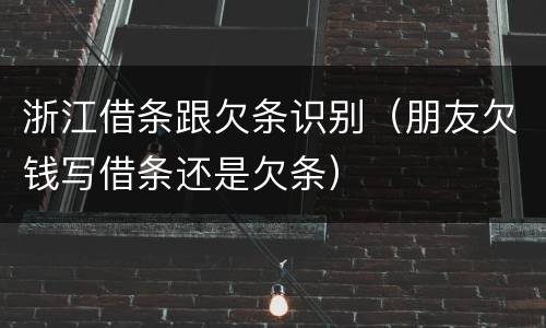 浙江借条跟欠条识别（朋友欠钱写借条还是欠条）