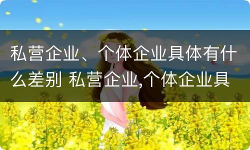 私营企业、个体企业具体有什么差别 私营企业,个体企业具体有什么差别呢
