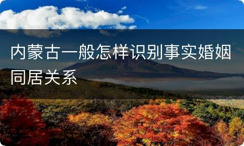 内蒙古一般怎样识别事实婚姻同居关系