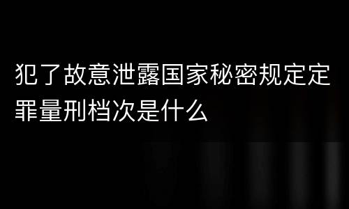 犯了故意泄露国家秘密规定定罪量刑档次是什么