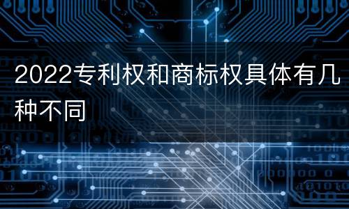 2022专利权和商标权具体有几种不同
