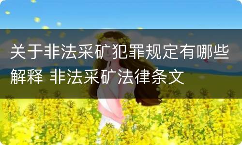 关于非法采矿犯罪规定有哪些解释 非法采矿法律条文
