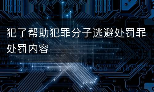 犯了帮助犯罪分子逃避处罚罪处罚内容