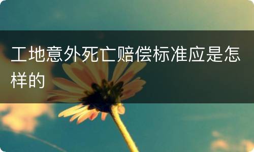 工地意外死亡赔偿标准应是怎样的