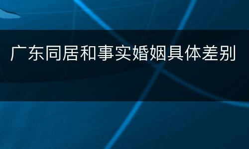 广东同居和事实婚姻具体差别