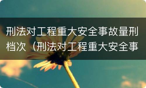 刑法对工程重大安全事故量刑档次（刑法对工程重大安全事故量刑档次的定义）
