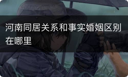 河南同居关系和事实婚姻区别在哪里