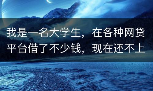 我是一名大学生，在各种网贷平台借了不少钱，现在还不上，如果不还会怎么样