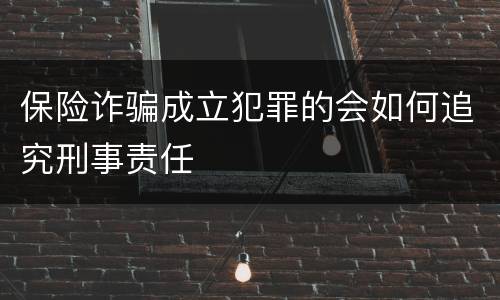 保险诈骗成立犯罪的会如何追究刑事责任