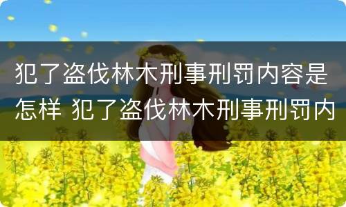 犯了盗伐林木刑事刑罚内容是怎样 犯了盗伐林木刑事刑罚内容是怎样判定的