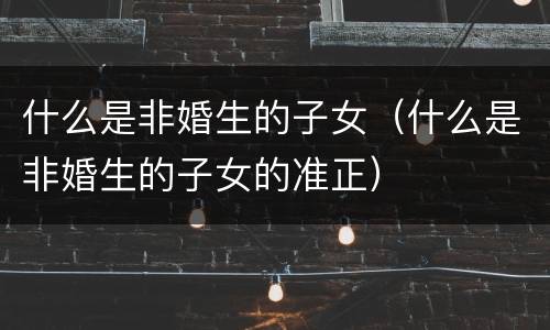 什么是非婚生的子女（什么是非婚生的子女的准正）
