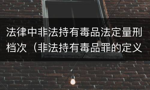 法律中非法持有毒品法定量刑档次（非法持有毒品罪的定义）